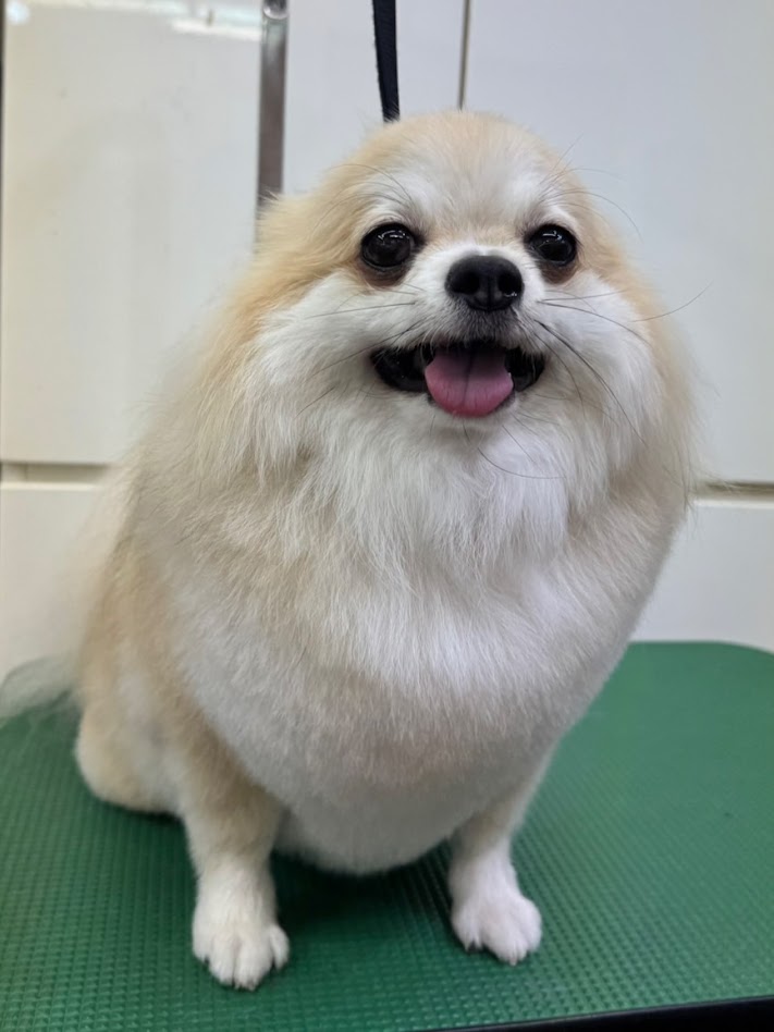9月12日(土)のお客さま(^^♪