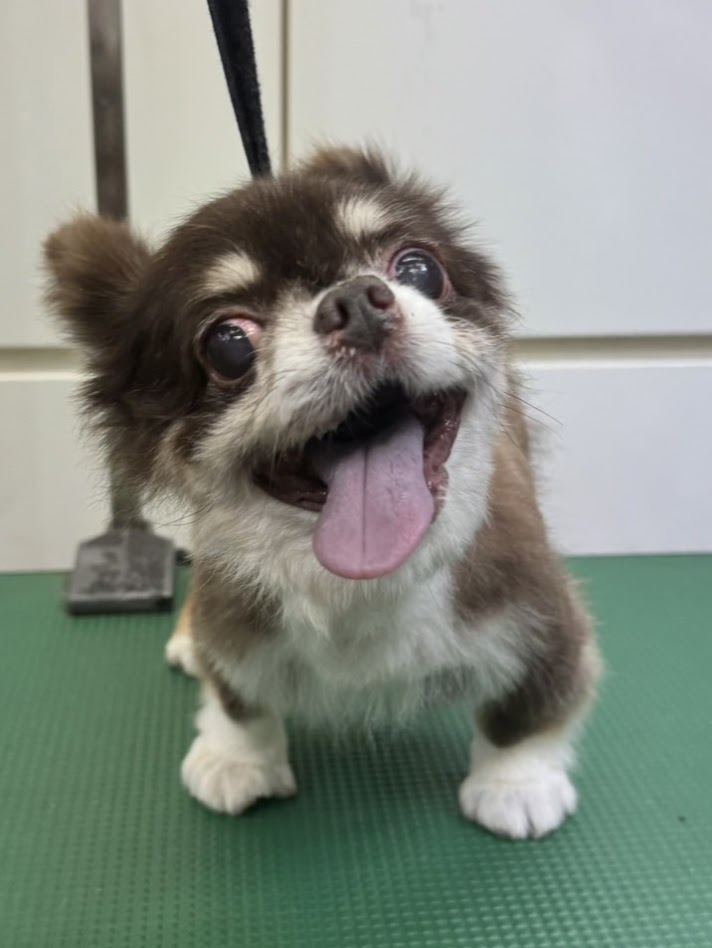 9月15日(火)のお客さま(^^♪