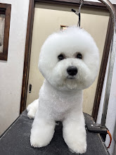 21日(月)のお客さま(^^♪本日台風のため15時閉店ですm(__)m