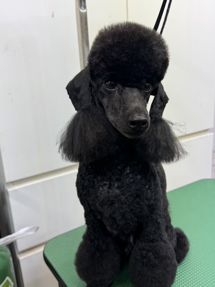 9月25日(金)のお客さま(^^♪明日はお休みです。