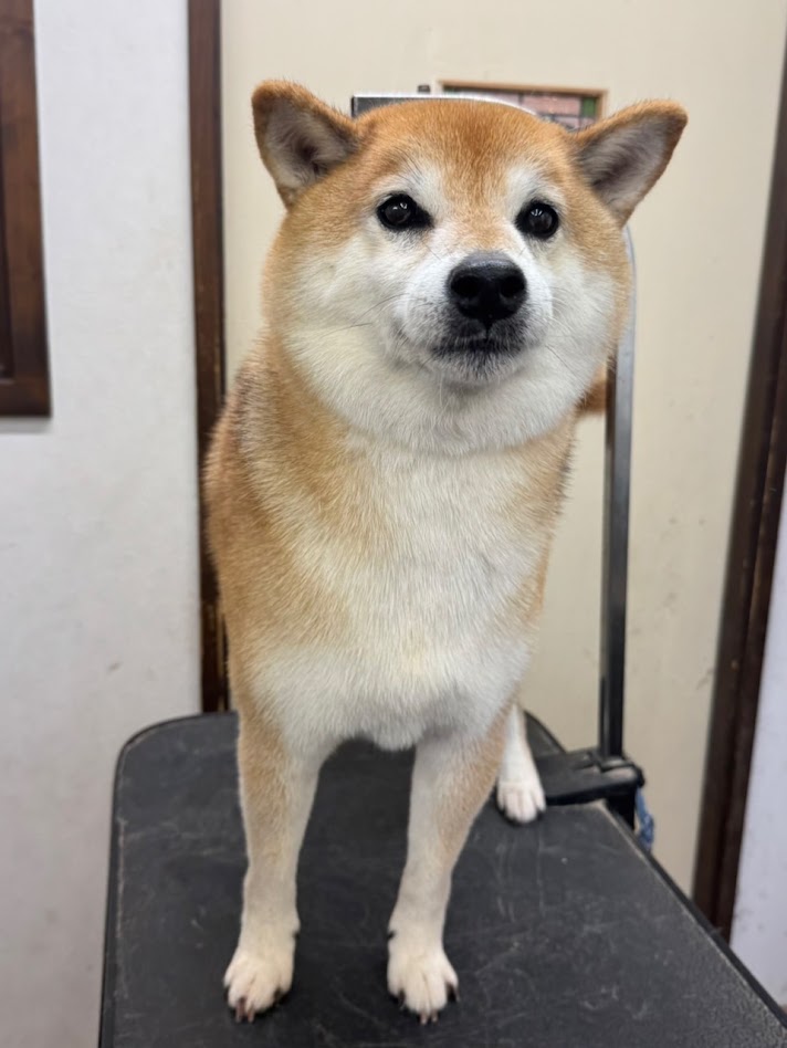9月30日(水)のお客さま(^^♪