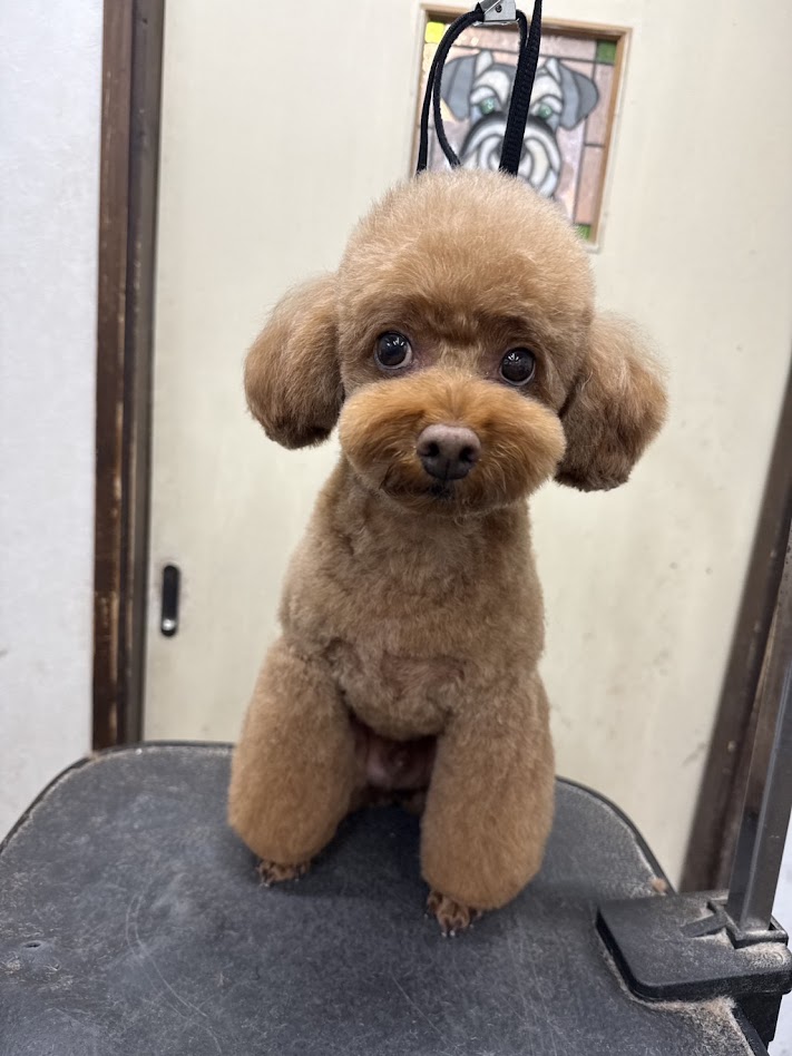 10月6日(火)のお客さま(^^♪