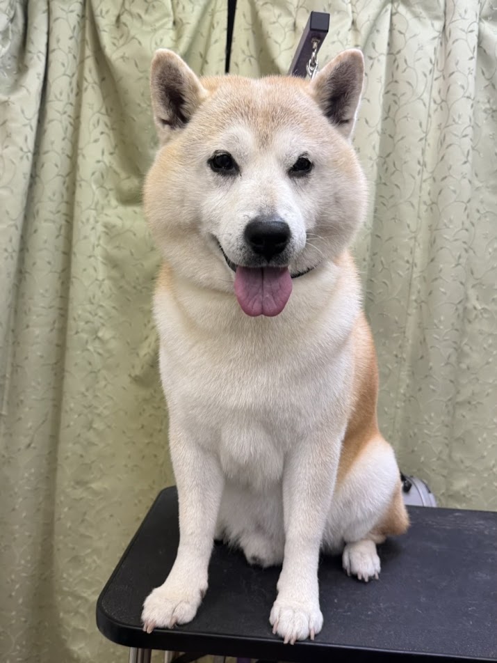 10月9日(金)のお客さま(^^♪明日はお休みですm(__)m