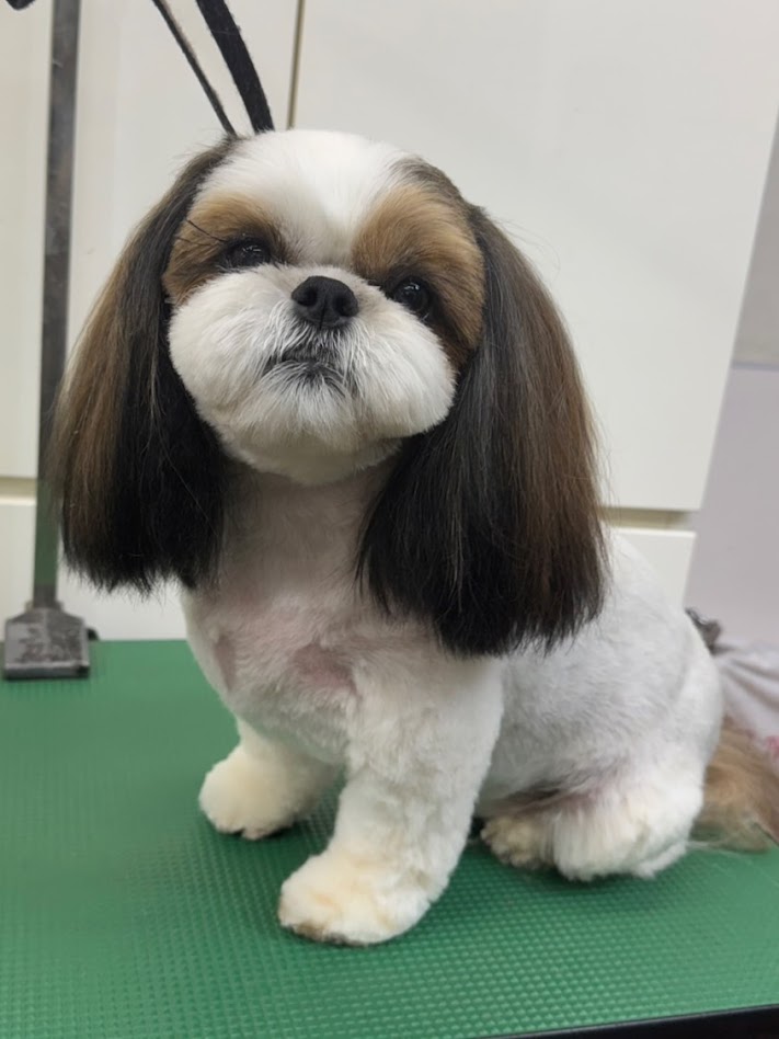 １０月１７日（土）のお客様(^^♪