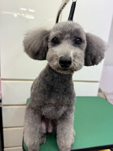 １０月１９日（月）のお客様(^^♪