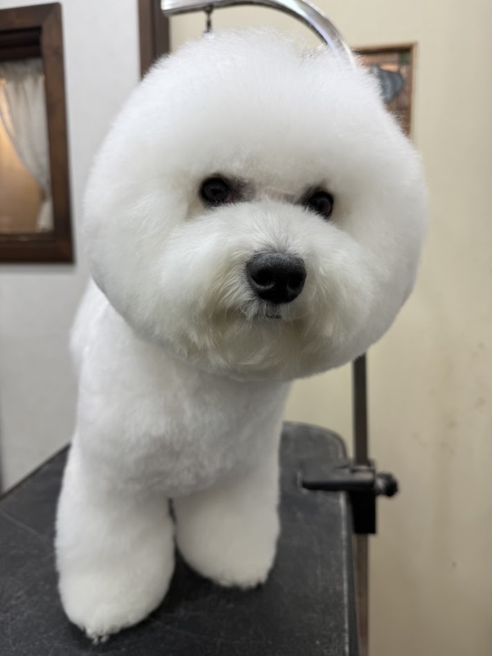 １０月３１日(土)のお客さま(^^♪